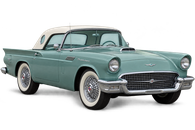 White Thunderbird